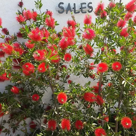 Ventorro De Sales