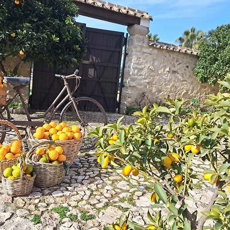 Holiday home Ventorro De Sales Pozoblanco